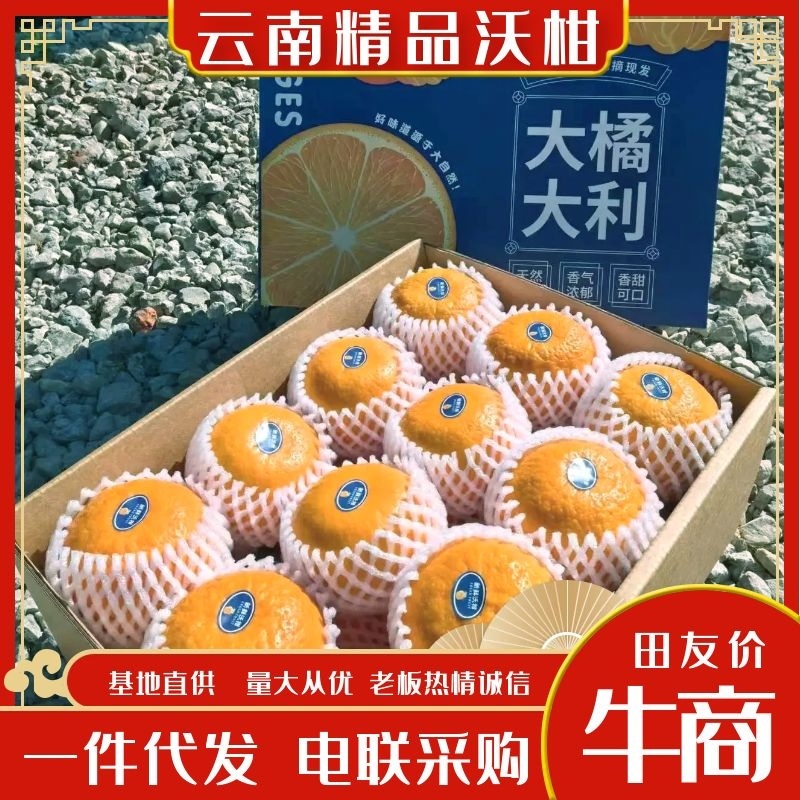 【一件代发】高原沃柑精美礼盒装送礼优选精品商超品质