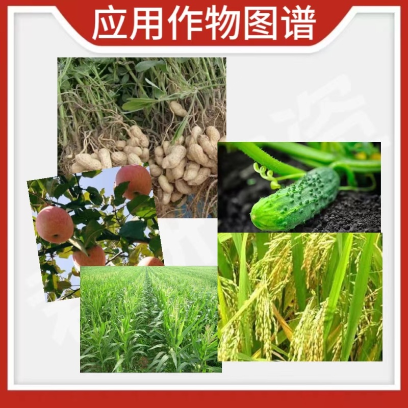 美滋素加拿大有机水溶肥料