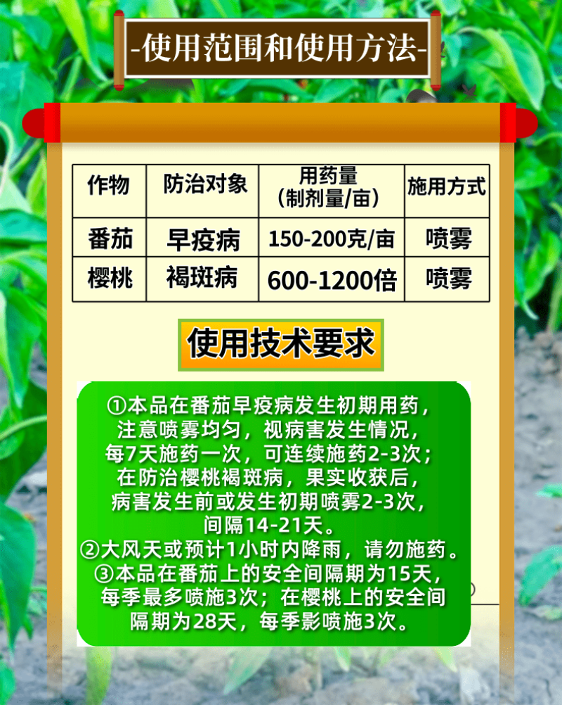 80%代森锰锌早疫病褐斑病真菌病害络合态农药杀菌剂