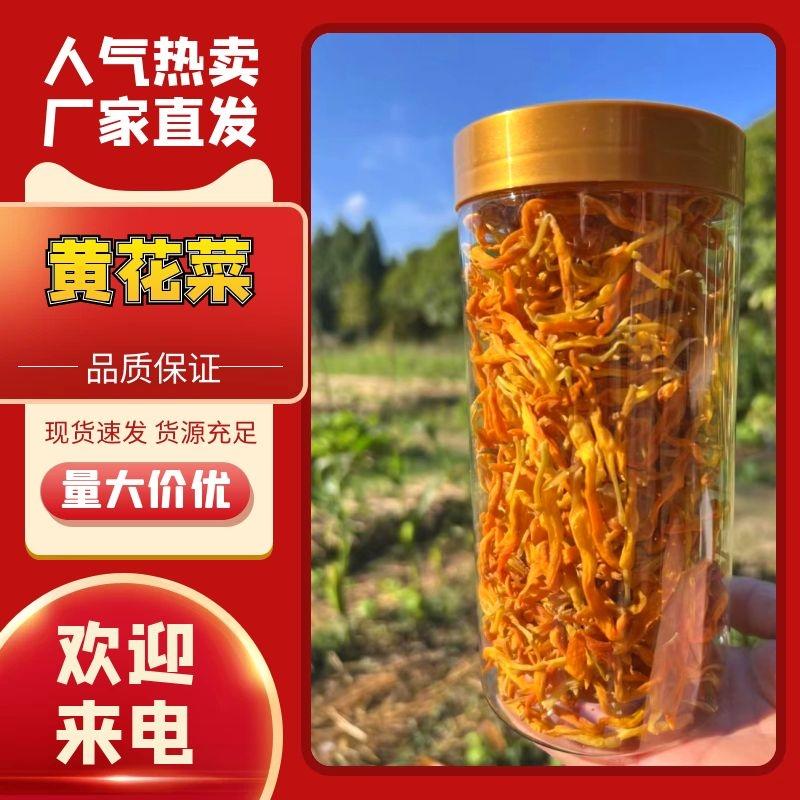 【热卖】浙江台州黄花菜产地直发品质保证支持视频看货