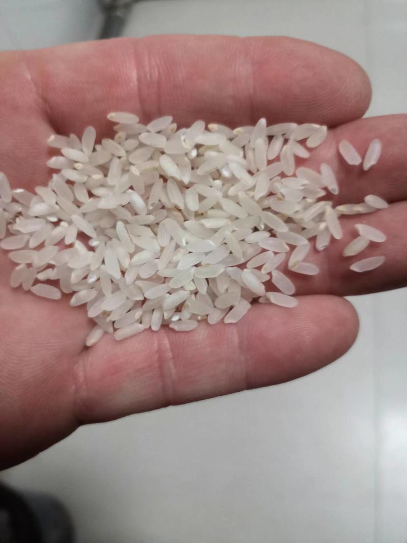 精选黑龙江长粒香大米口感好自家基地供应全国市场