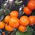 【热卖】广西精品砂糖橘大量供应直发糖度高果型大可看货
