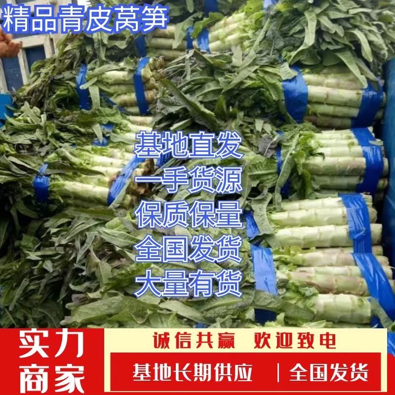 莴笋，青皮莴笋，货源充足，产地直供，一手货源。