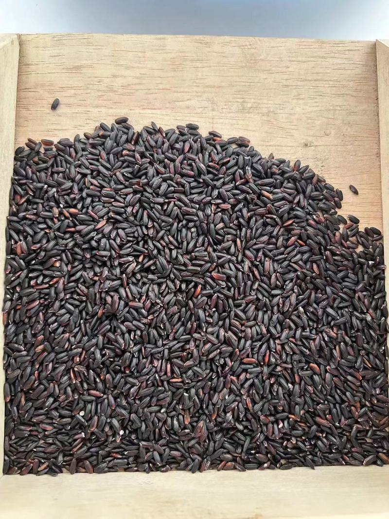 黑龙江黑米，一手货源，品质保证，欢迎来电咨询