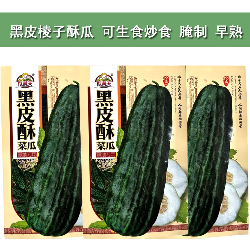 黑皮酥菜瓜种子八棱脆瓜种子老品种菜瓜籽四季种植蔬菜架种植