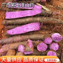 【山药】淮山药紫玉淮山药大量上市对接全国市场