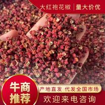 【热卖】优质供货电商，23年新陕西大红袍花椒，麻香无籽