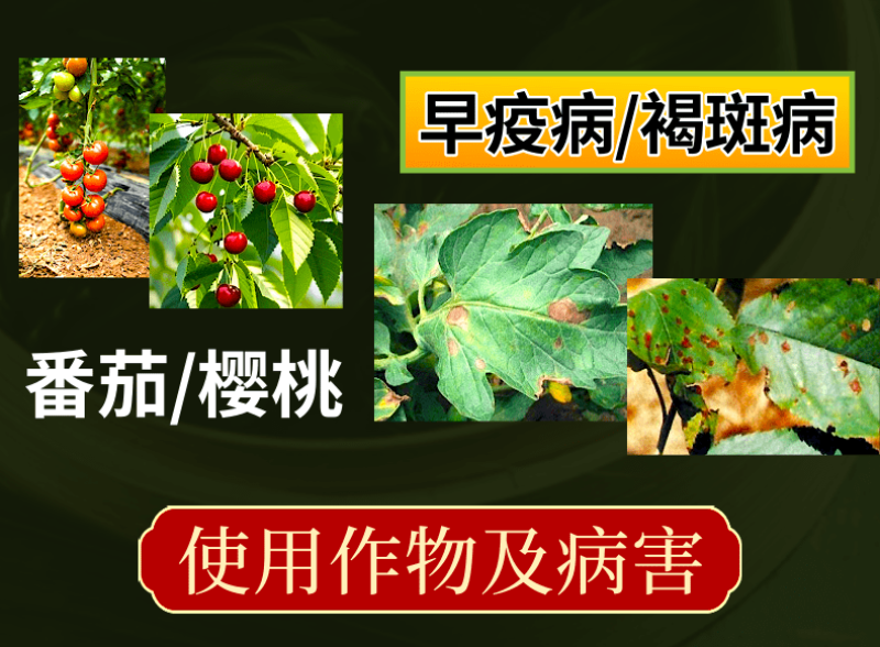 80%代森锰锌早疫病褐斑病炭疽病络合态杀菌剂