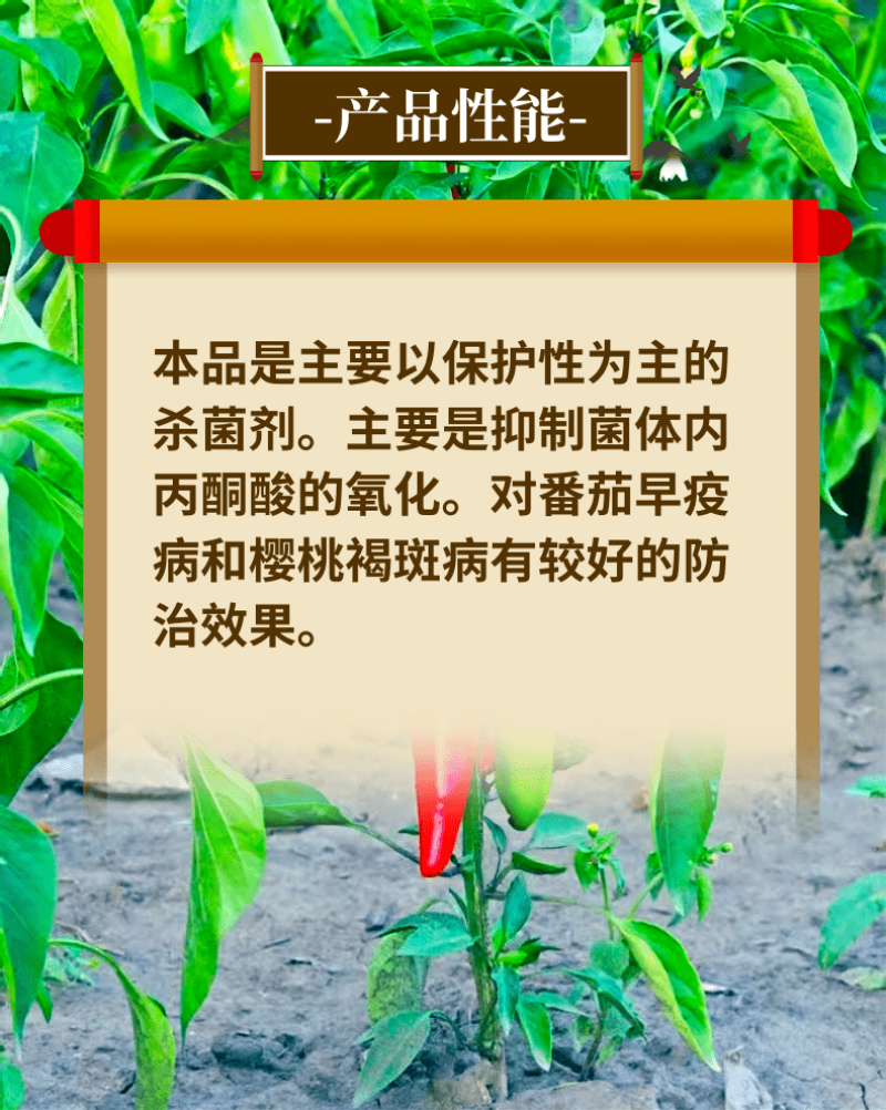 80%代森锰锌早疫病褐斑病炭疽病络合态杀菌剂