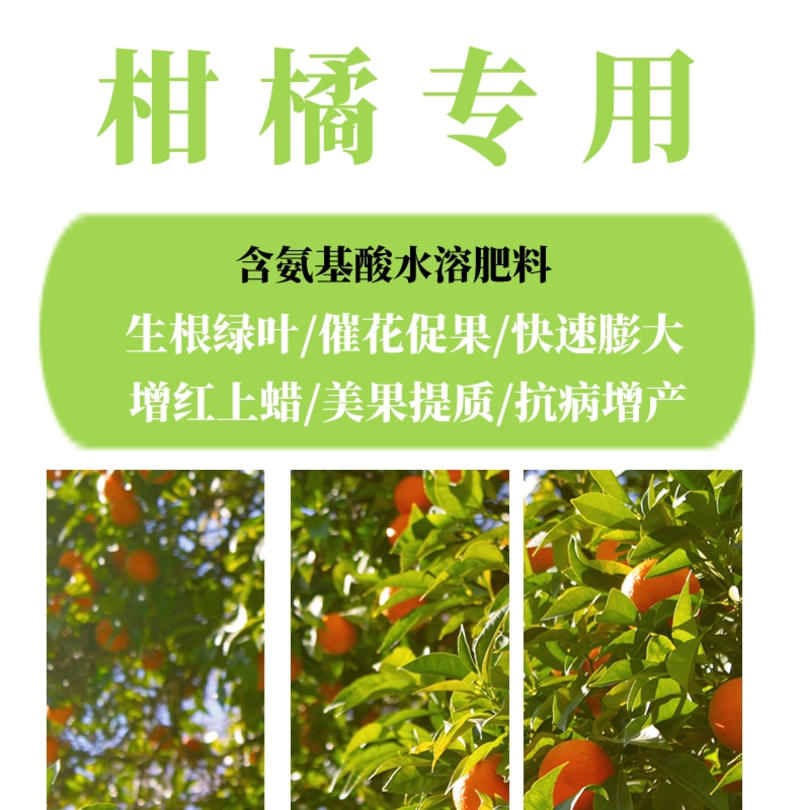 柑橘专用叶面肥催花促果绿叶靓果防小叶黄叶增甜增产