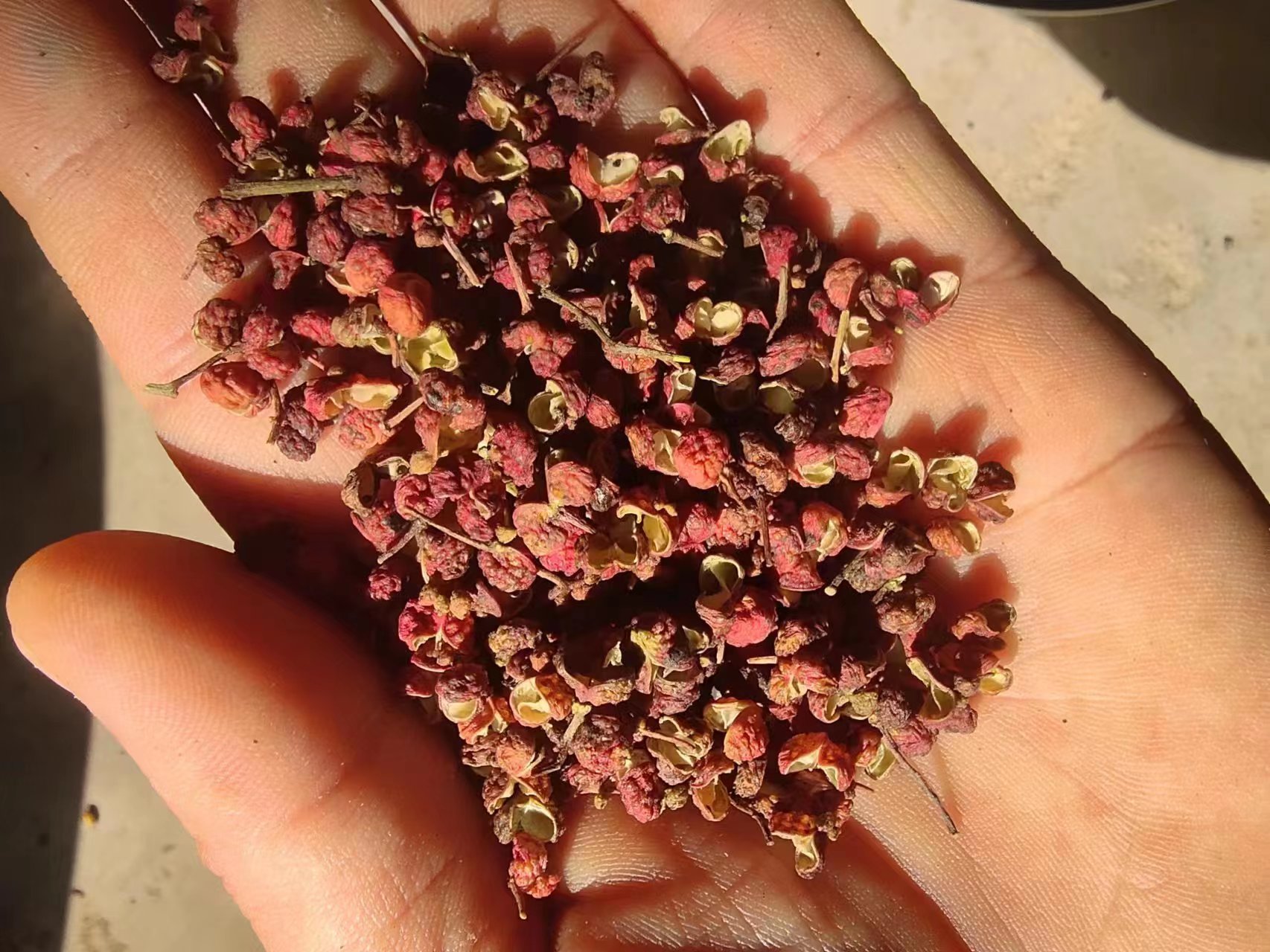 图片说明:实验室环境下花椒热油激发过程拍摄图,玻璃烧杯中倒入食用油至60℃,投入约5克当年大红袍花椒,可见细密气泡持续释放,油面泛起红亮光泽,上方架设电子鼻传感器采集挥发性气体,背景为恒温控制台与数据记录屏 花椒热油激发实验场景图