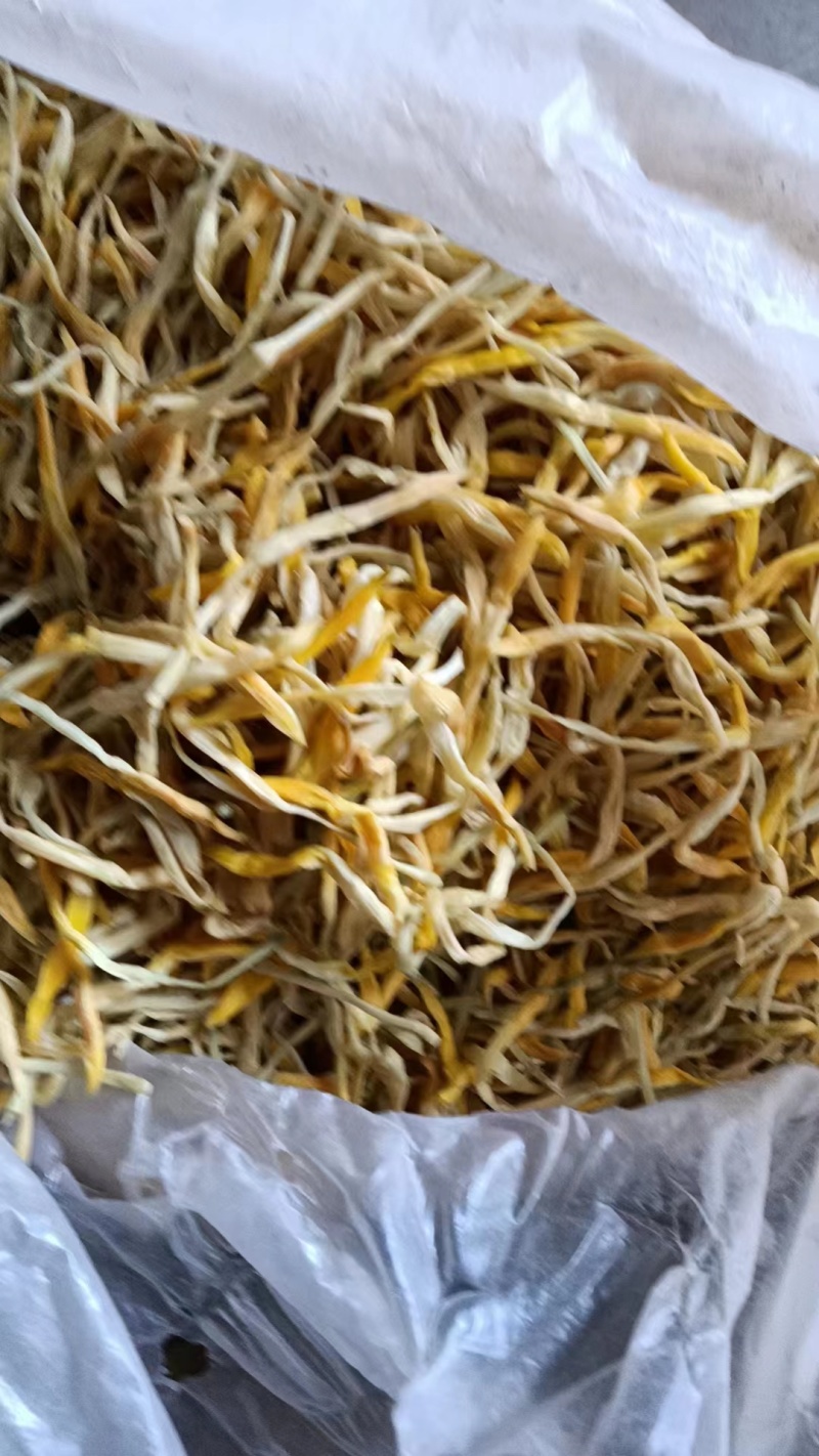 【推荐】优质供货电商，祁东保鲜黄花菜精品菜，价格优惠