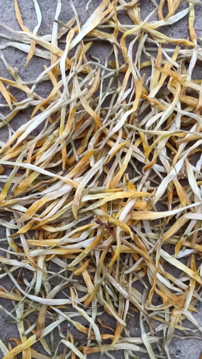 【推荐】优质供货电商，祁东保鲜黄花菜精品菜，价格优惠