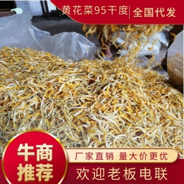 【推荐】祁东保鲜黄花菜，九五干度，适应做凉拌菜，量大价优