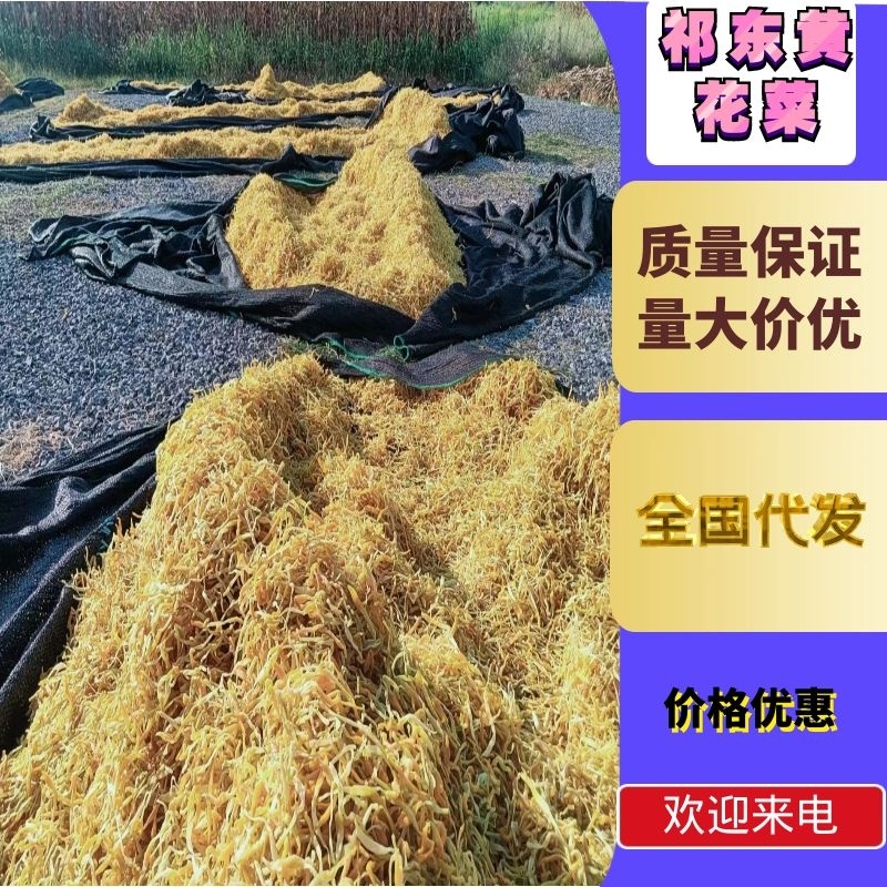 【推荐】优质供货电商，祁东保鲜黄花菜精品菜，价格优惠