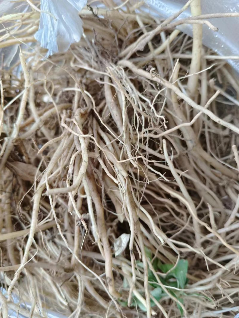 龙胆草，品质保证，一手货源，欢迎大家来电咨询