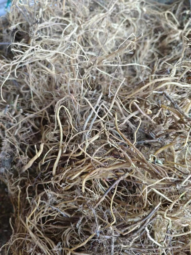 龙胆草，品质保证，一手货源，欢迎大家来电咨询