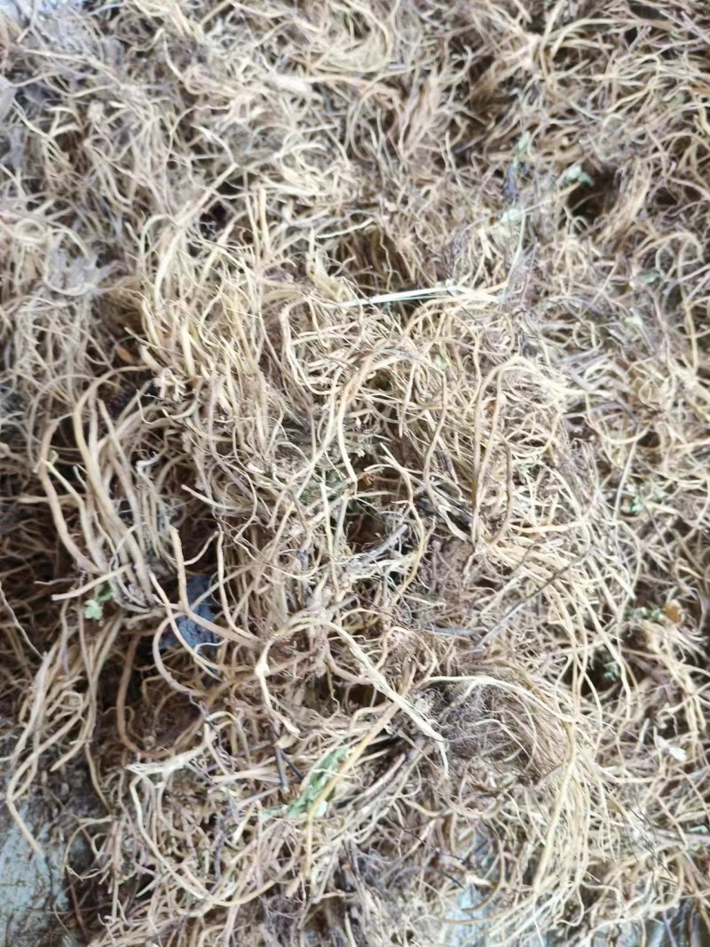 龙胆草，品质保证，一手货源，欢迎大家来电咨询