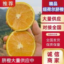 【精品】纽荷尔脐橙贵州产地橙子纯甜化渣欢迎下单价格优