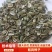 防风种子，防风子，张家口防风子，内蒙防风子，2025新产