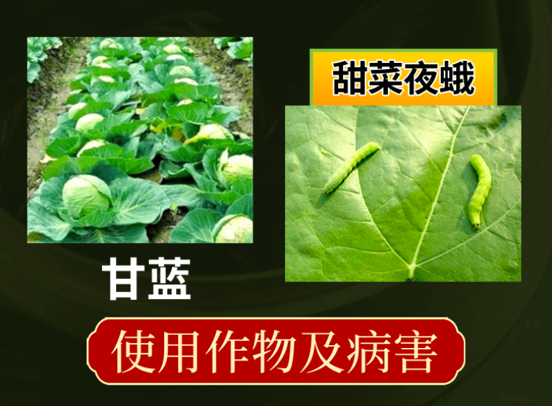 中科9.8%甲维虱螨脲甲维盐小菜蛾菜青虫肉虫农药杀虫剂