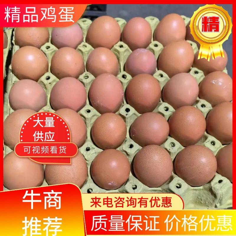 【精品鸡蛋】养殖场供应现货现发价格优惠欢迎来电咨询洽谈