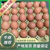 鲜鸡蛋日产4吨鸡场一手货源诚信经营品质保证欢迎致电