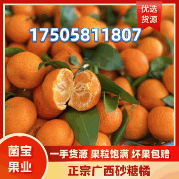 【精品】广西砂糖橘皮薄汁多产地直发可视频看货电商批发货
