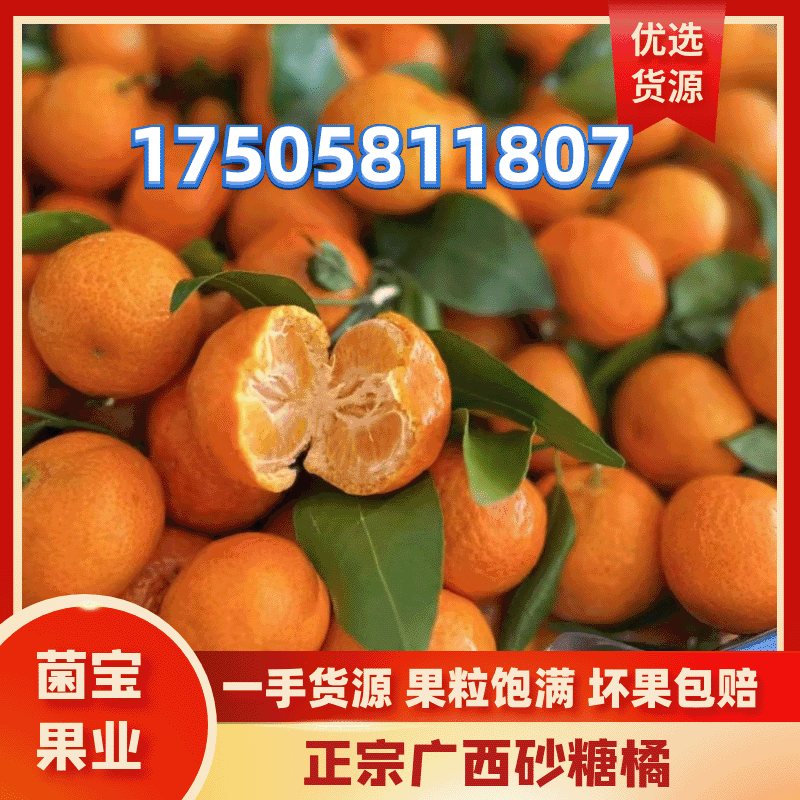 【精品】广西砂糖橘皮薄汁多产地直发可视频看货电商批发货