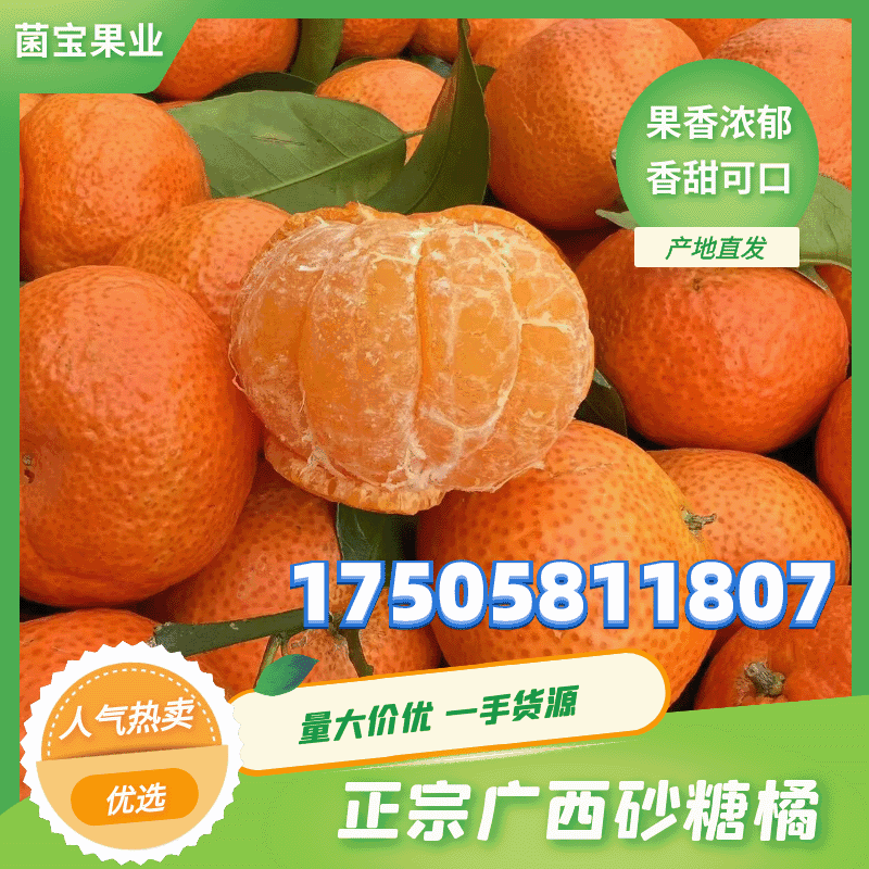 【好货】精品广西砂糖橘大量上市货源充足大吨位供应批发整车