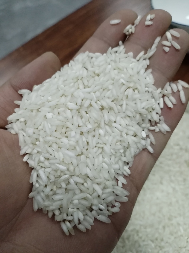 【白米】长粒香色选白米厂里直销来电