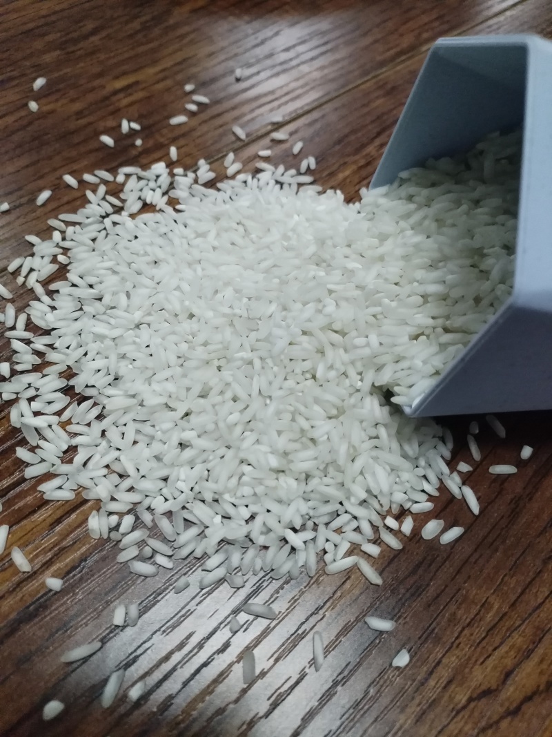 【白米】长粒香色选白米厂里直销来电
