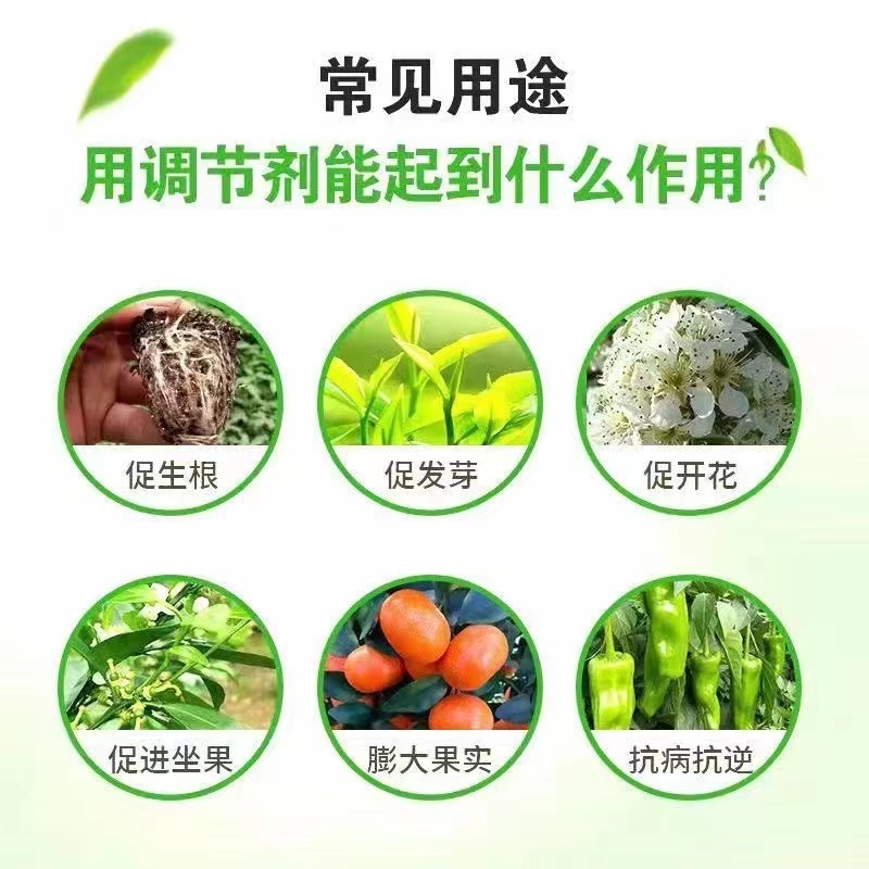复硝酚钠1.8%植物生长调节剂保花保果促进花芽分化