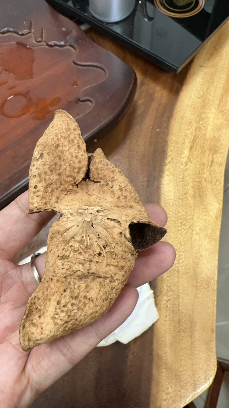 28年珍藏版正宗新会老陈皮量少支持验货