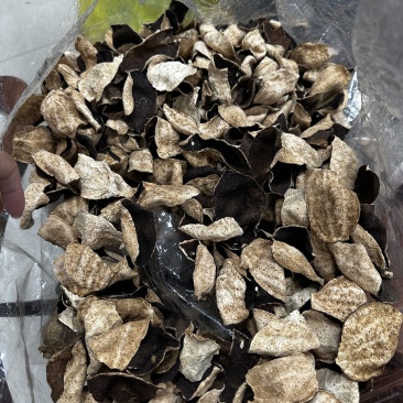 5年新会东甲陈皮碎片大量批发支持实地验货