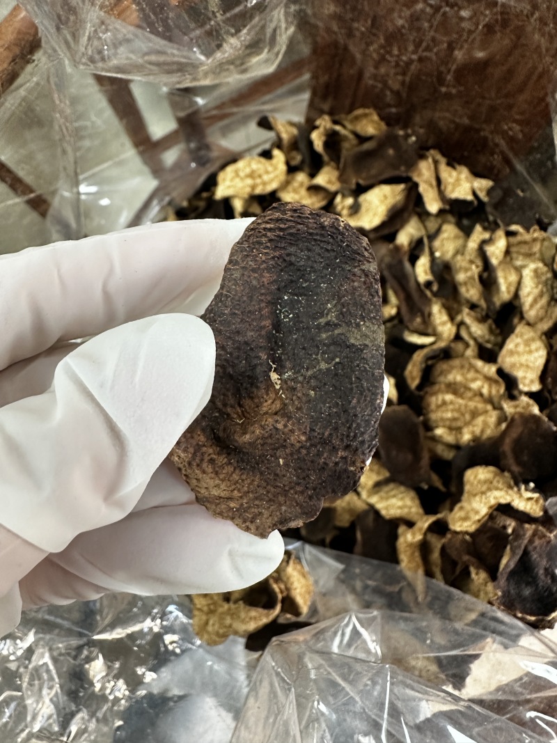 10年梅江新会陈皮碎片特价处理大量批发支持实地验货