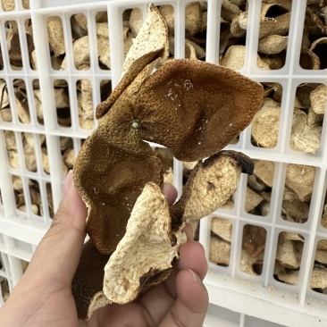 3年正宗天马新会陈皮大红皮大量批发支持实地验货