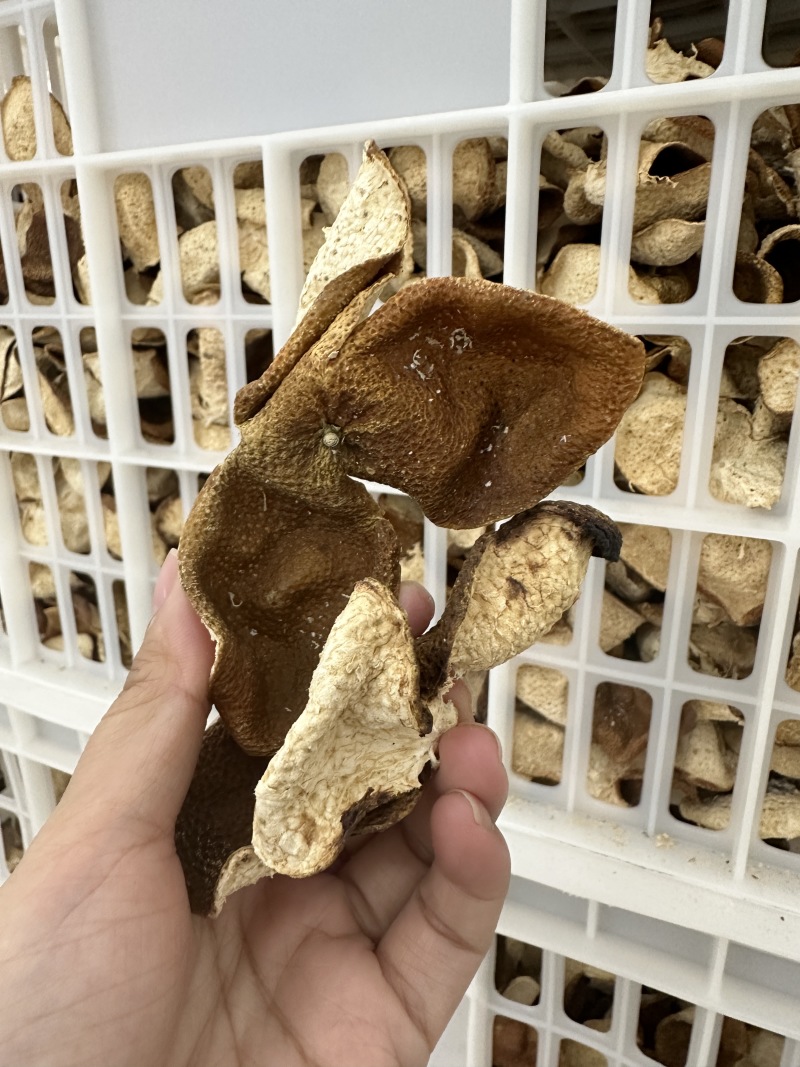 3年正宗天马新会陈皮大红皮大量批发支持实地验货