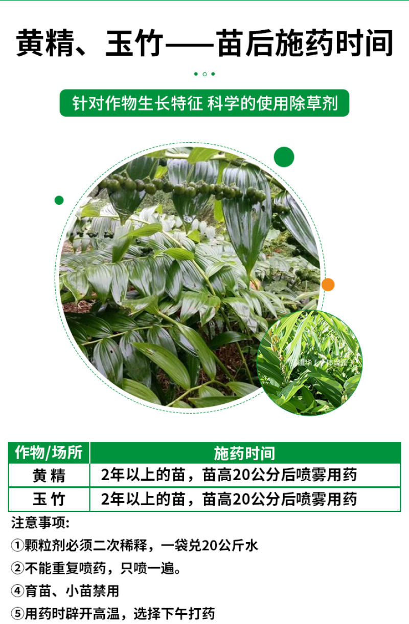 黄精除草剂黄精玉竹专用苗后灭草药禾阔双杀不伤作物