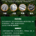 黄精除草剂黄精玉竹专用苗后灭草药禾阔双杀不伤作物