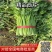 【大棚西芹】大棚芹菜价格优质量漂亮亮度好欢迎电联