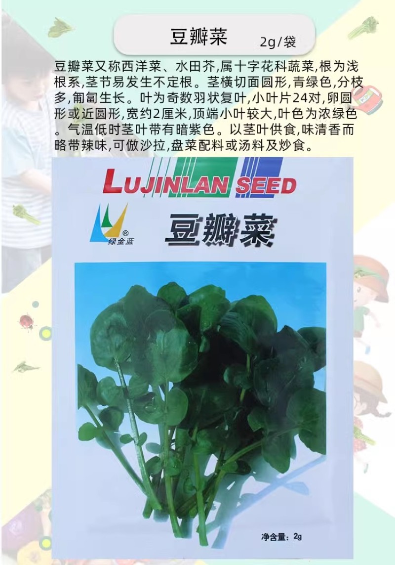 豆瓣菜种子，西洋菜种子，耐热耐寒，喜水喜光，多年生蔬菜