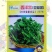 豆瓣菜种子,西洋菜种子,耐热耐寒,喜水喜光,多年生蔬菜