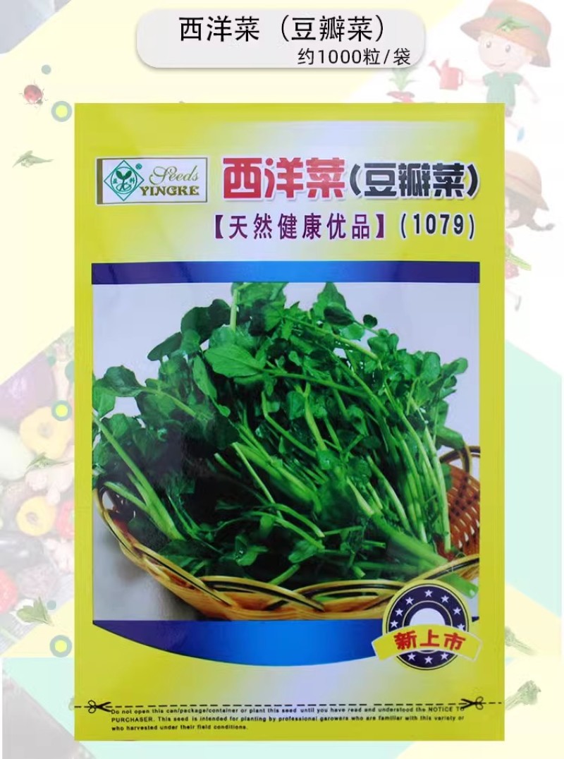 豆瓣菜种子，西洋菜种子，耐热耐寒，喜水喜光，多年生蔬菜