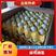 湖北省武汉新洲区绿壳蛋36斤大码鸡场直发支持物流