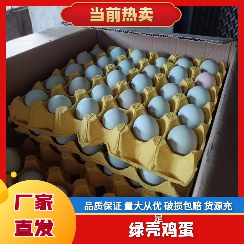湖北省武汉新洲区绿壳蛋36斤大码鸡场直发支持物流