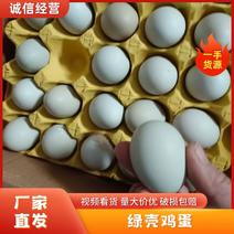 湖北省武汉市新洲区了34一35斤绿壳鸡蛋鸡场直发支持物流