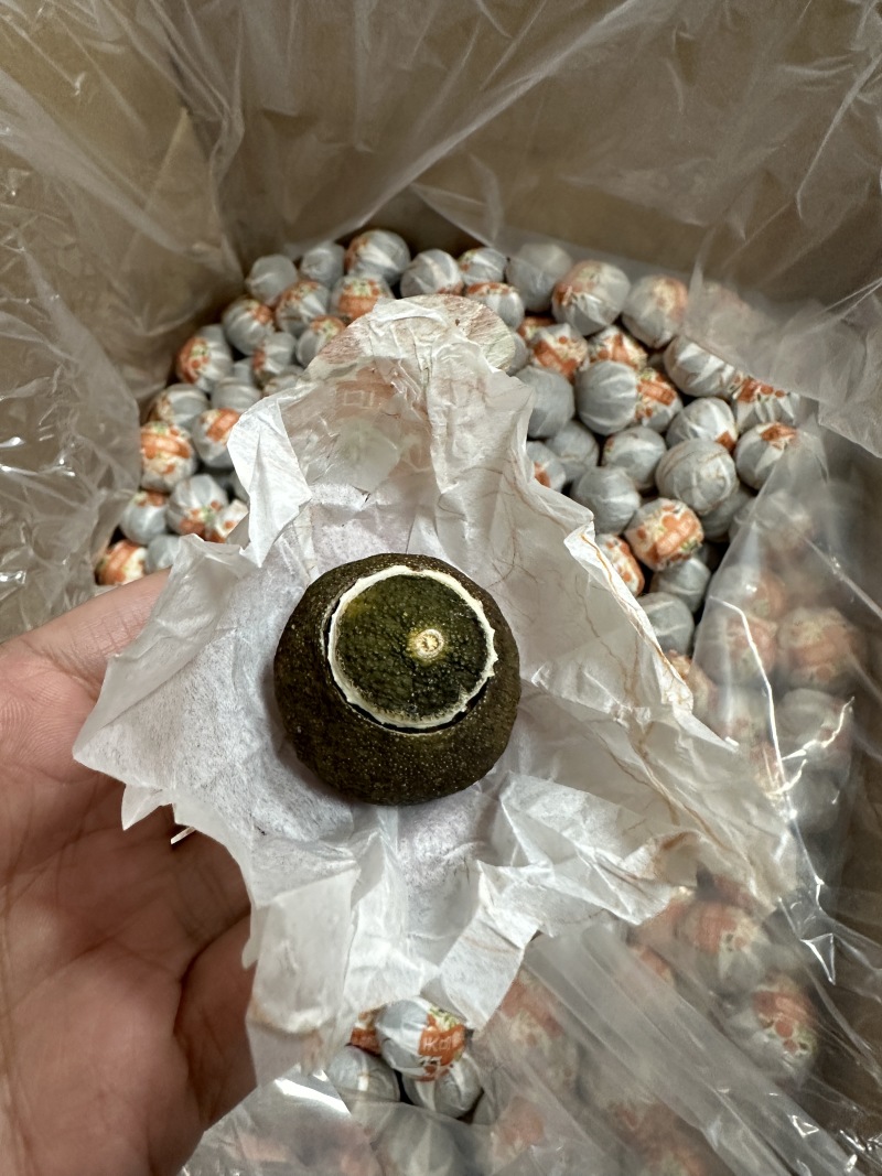 5年天马圈枝新会小青柑柑普茶