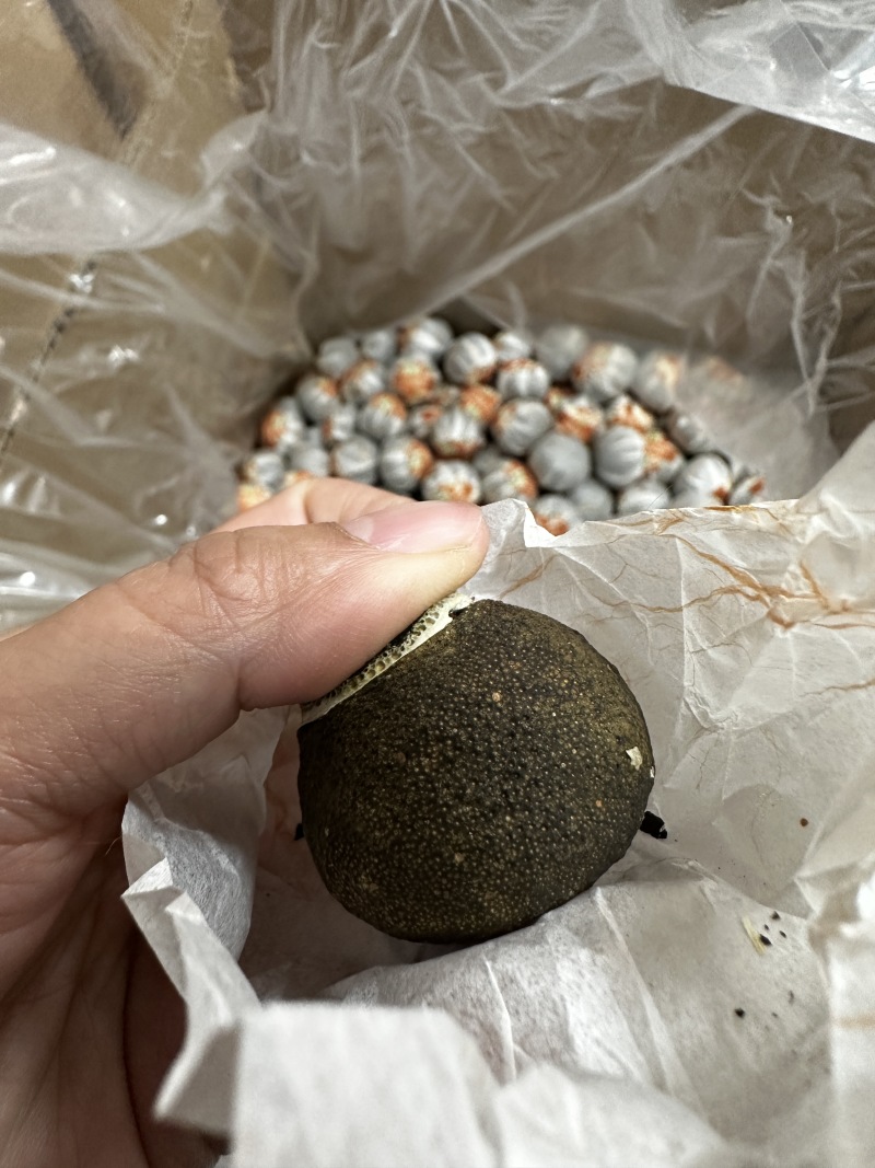 5年天马圈枝新会小青柑柑普茶
