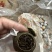 5年天马圈枝新会小青柑柑普茶
